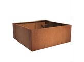 Carrez   2000 x 2000 x 600 CorTen 2mm