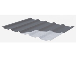 Tole profilee ANTHRACITE 7016 avec feutre TR30 - 2200 x 1100 mm