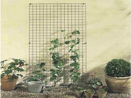 Panneau pour plantes grimpantes Arcoflor Vert - H81xL152 cm